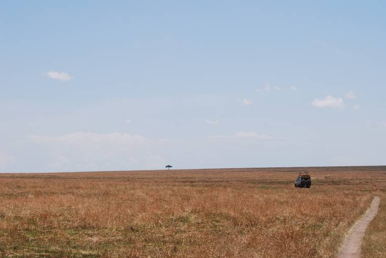 A vast open savanna with a distant safari vehicle in Narok County, Kenya