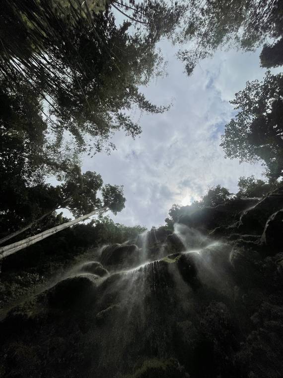 Sunlight breaking through a misty green jungle in Cebu, Philippines