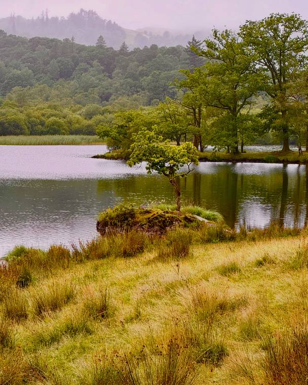 A tree-covered island on a calm lake in Ambleside, England